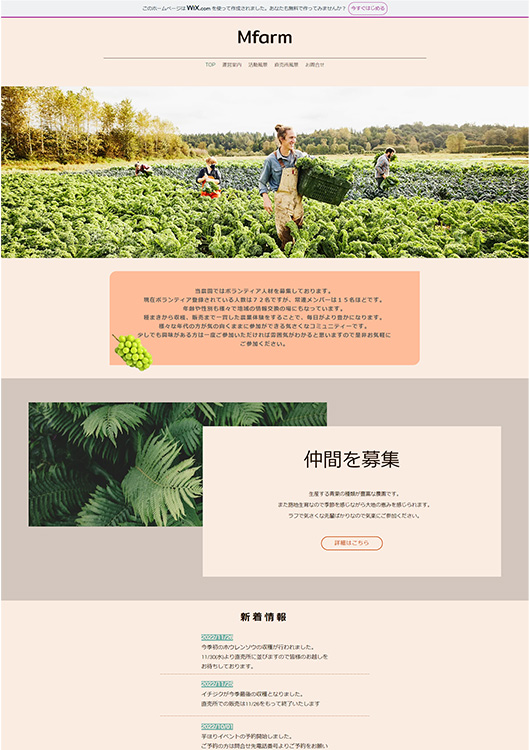 画像：ウェブページのスクリーンショット